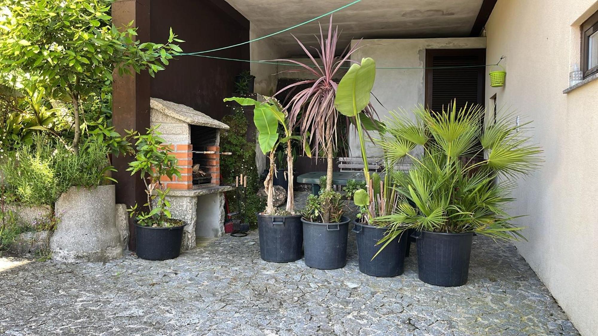 Casa De Casarelhos - Al - * Geres